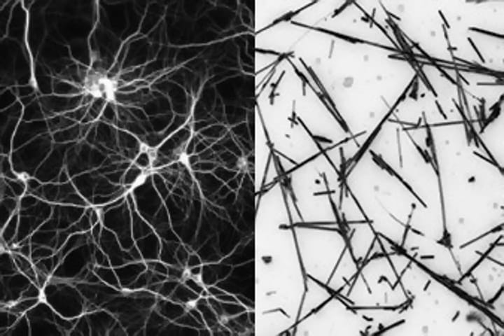 Illustration article « Des nanoréseaux artificiels dotés des mêmes capacités d’apprentissage qu’un cerveau humain » sur Trust